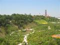 Kina-2004-108